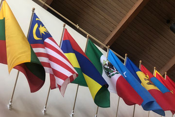 International flags